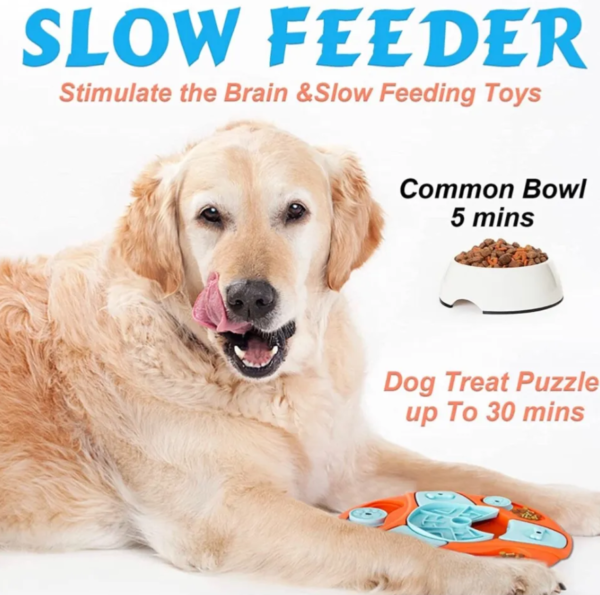 Boost Your Dog’s Intelligence with These Mind-Challenging Puzzles - Image 5