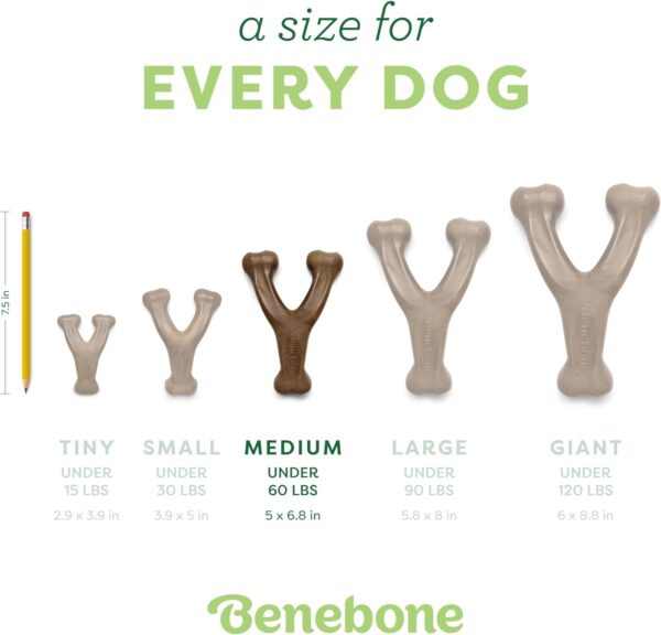 Benebone Wishbone Durable Toy ForDogs, For Heavy Chewers, Bacon Flavor - Image 4