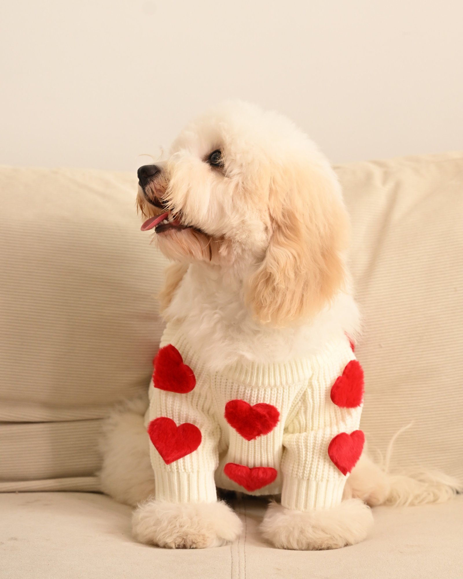 Cream Heart-3D Motif Pet Sweater - Image 4