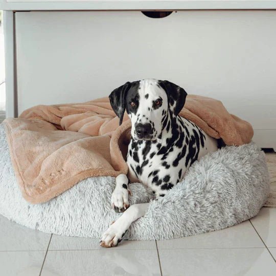 Calming Dog Bed & Weighted Blanket Bundle - Image 2