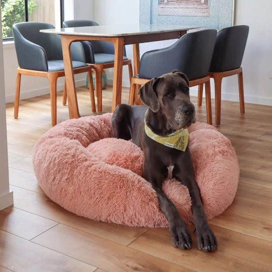 Calming Dog Bed & Cover Bundle - Image 4