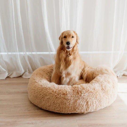 Calming Dog Bed & Weighted Blanket Bundle - Image 9