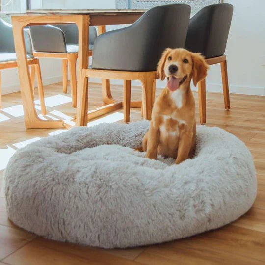 Calming Dog Bed & Cover Bundle - Image 13