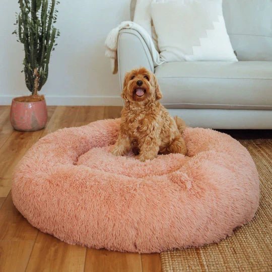 Calming Dog Bed & Weighted Blanket Bundle - Image 7